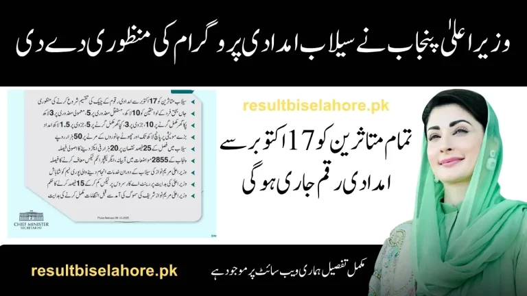 CM Punjab Flood Relief Package