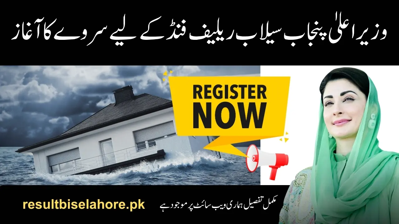 CM Punjab Flood Relief Program Survey 2025