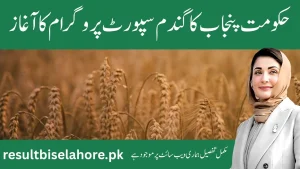 CM Punjab Wheat Support Program 2025 Registration wsp2025.punjab.gov.pk