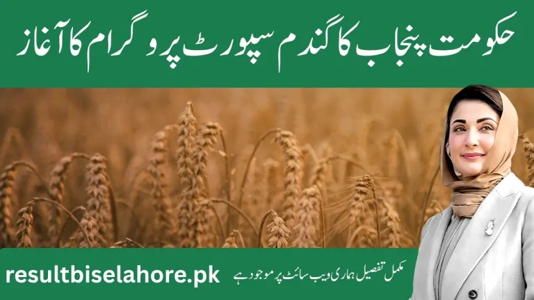 CM Punjab Wheat Support Program 2025 Registration