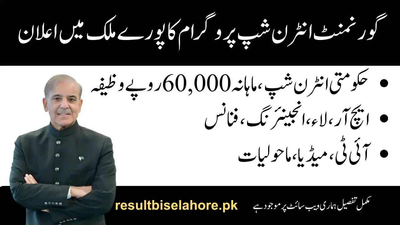 Government Internship Program
