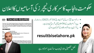 literacy punjab gov pk Teachers Jobs 2025 in Punjab Literacy Department
